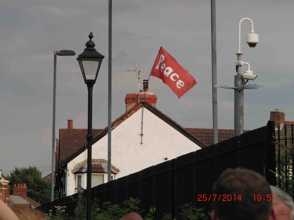 15e 25.7.14 A friendly flag, Newsham Park
